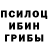 Псилоцибиновые грибы Cubensis Ravshan Mirzabekov