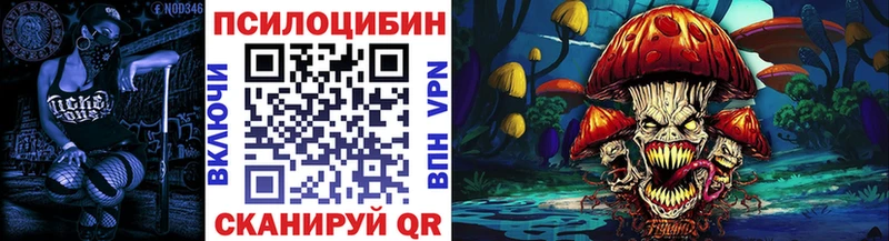 KRAKEN ONION  Санкт-Петербург  Галлюциногенные грибы Psilocybe 