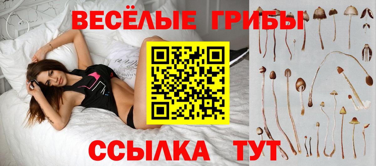 Псилоцибиновые грибы Cubensis Санкт-Петербург